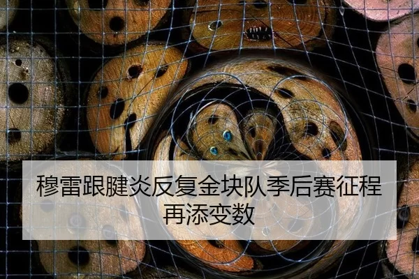 mu-lei-gen-jian-yan-fan-fu-jin-kuai-dui-ji-hou-sai-zheng-cheng-zai-tian-bian-shu-3-631.jpg